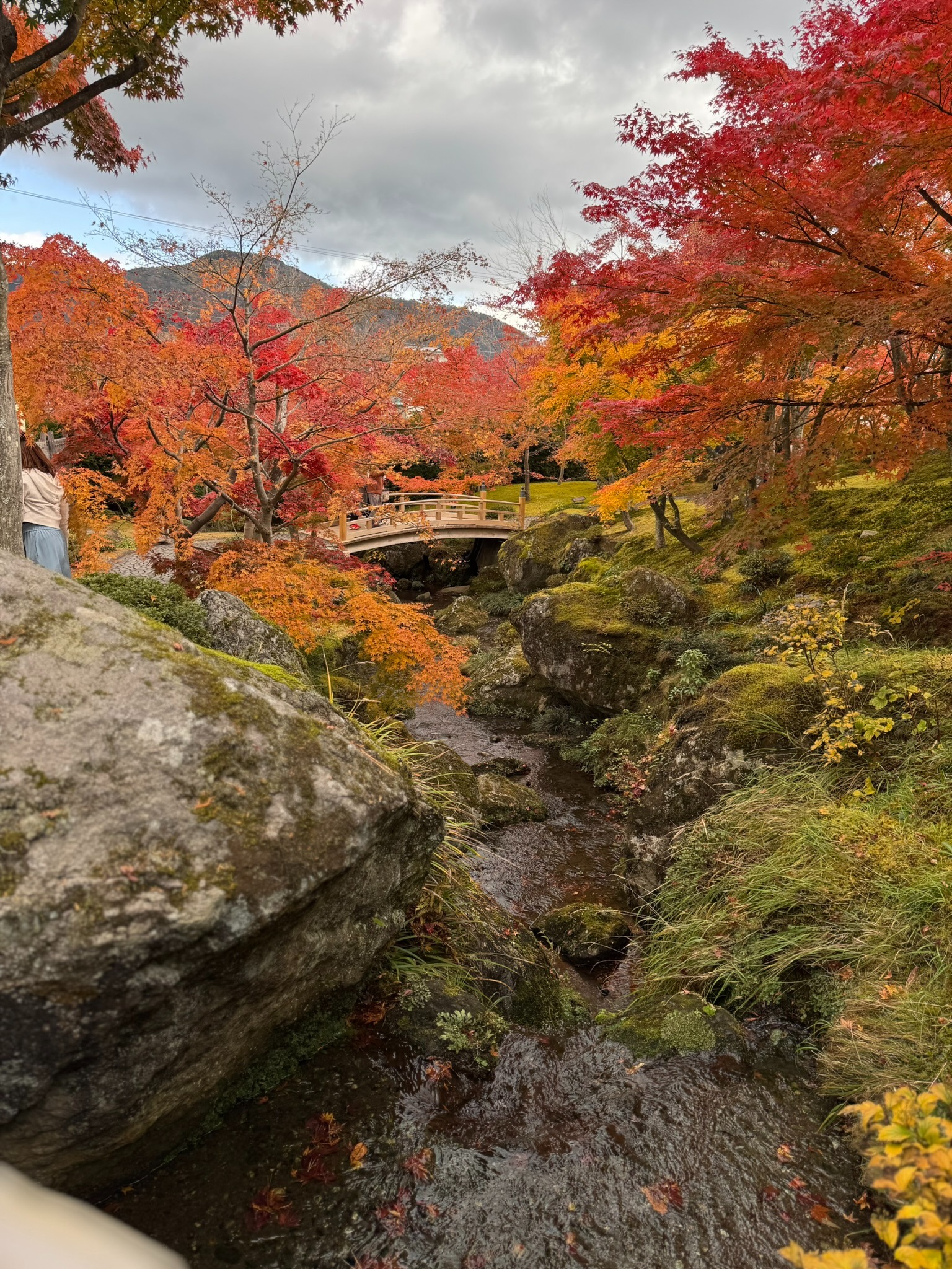 Hakone autumn garden