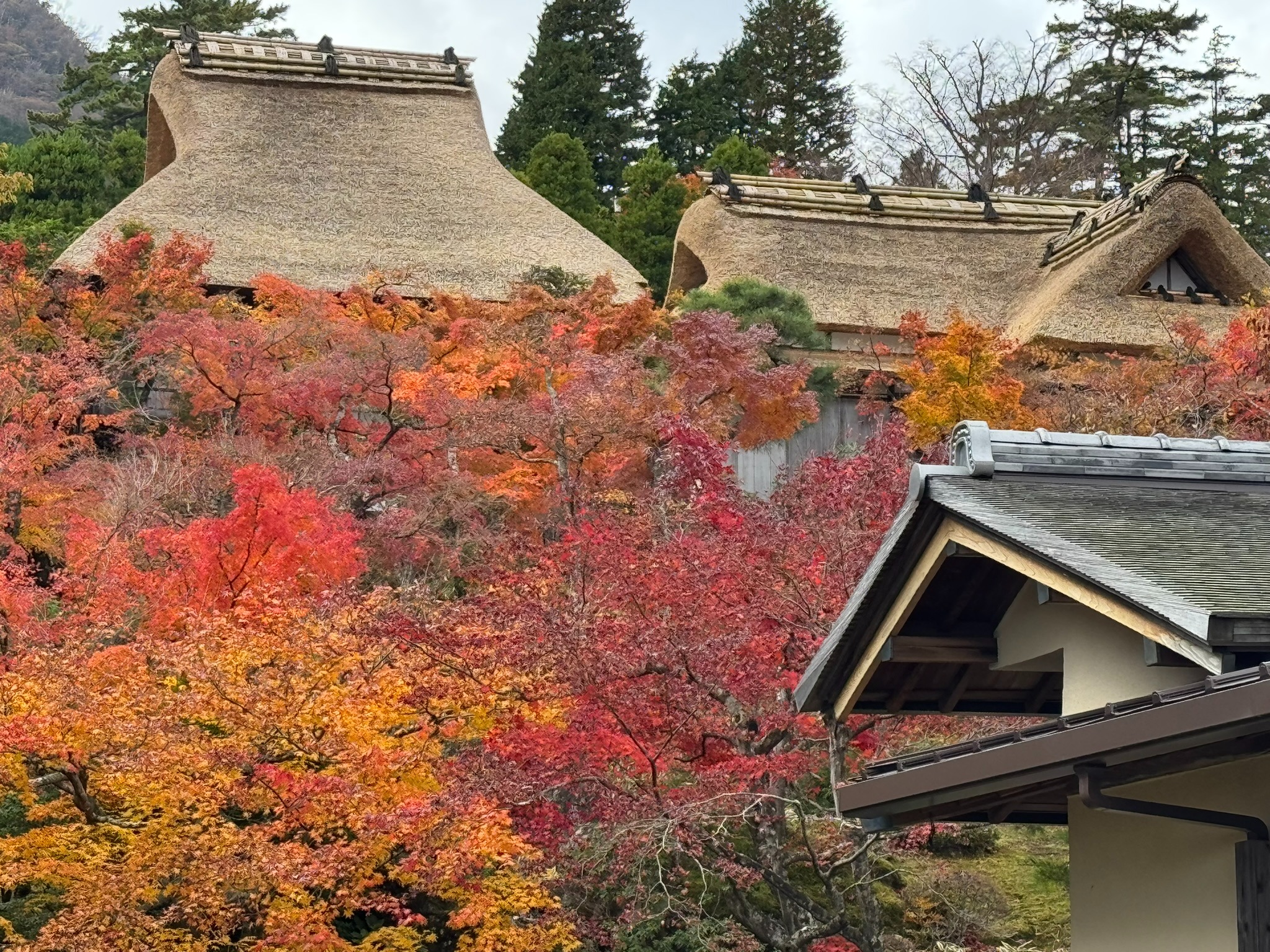 Traditional architecture and autumn foliage in Hakone