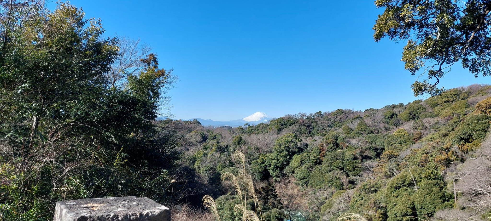 Distant Mount Fuji view from the hills of Kamakura