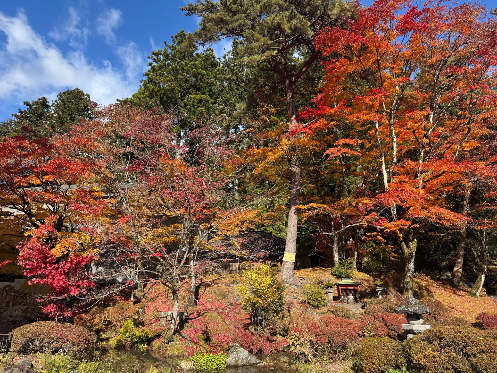 Autumn colours in Nikko