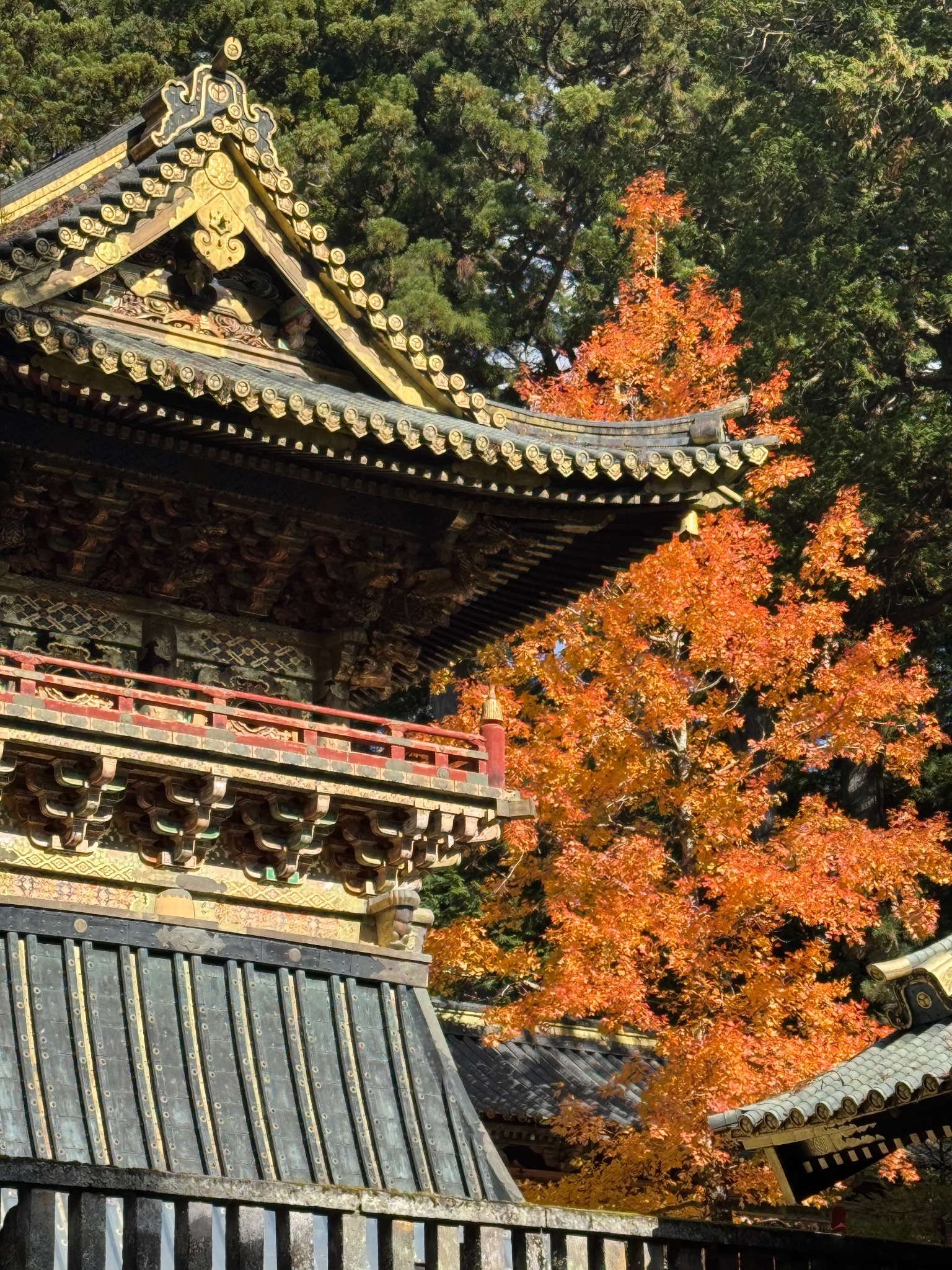 Nikko architecture and autumn foliage