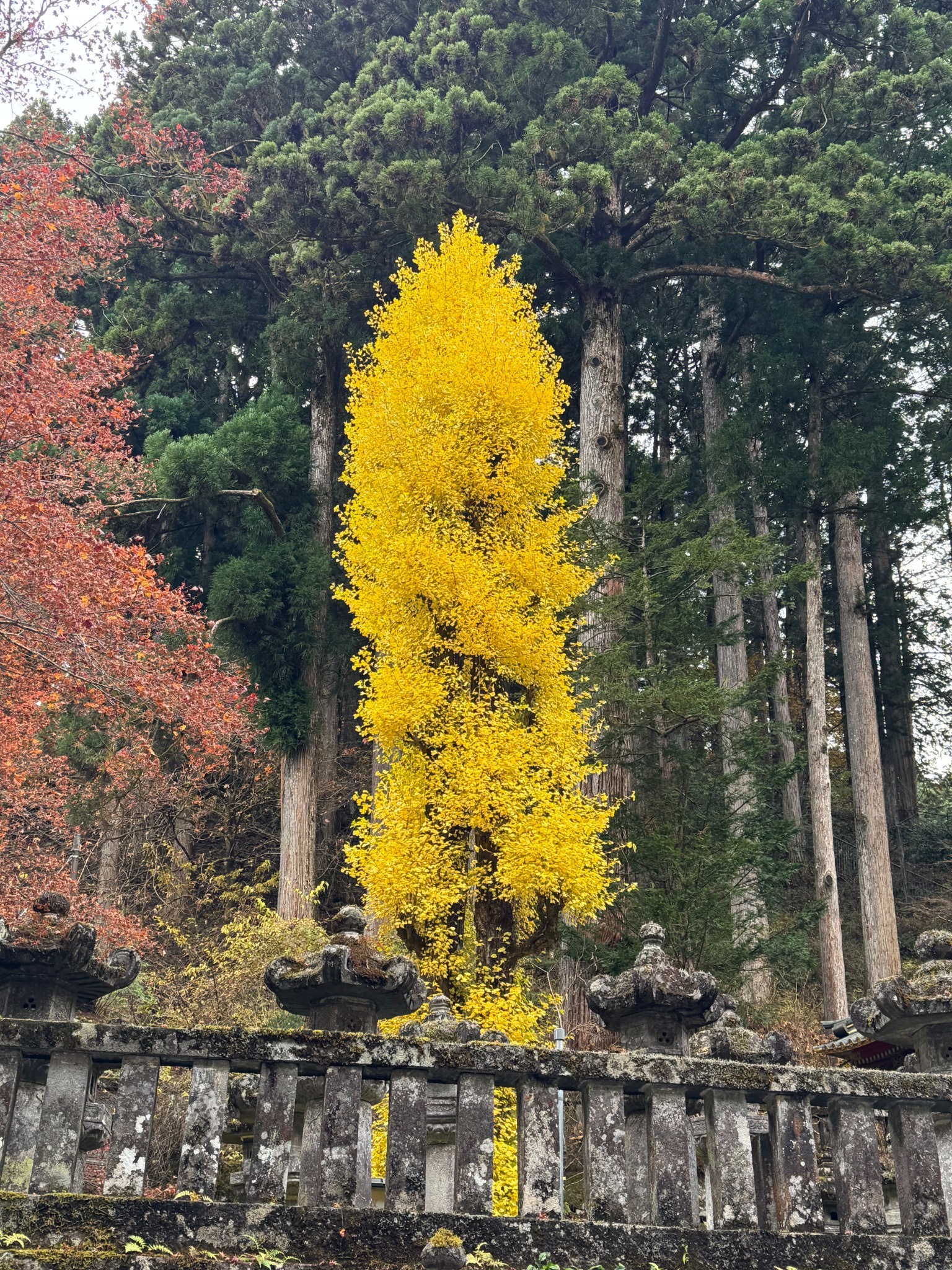 Autumn architecture detail in Nikko